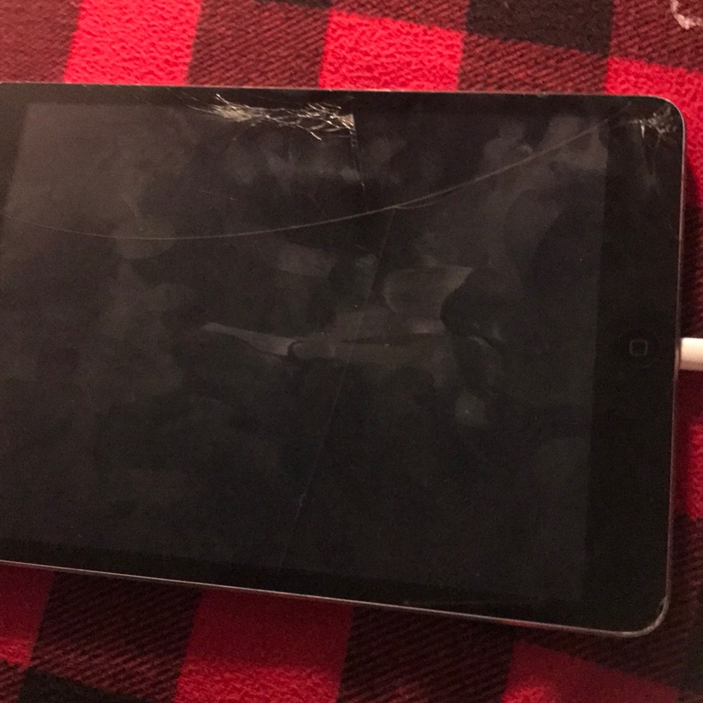 iPad mini